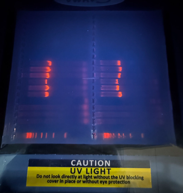 Band-themed lab image