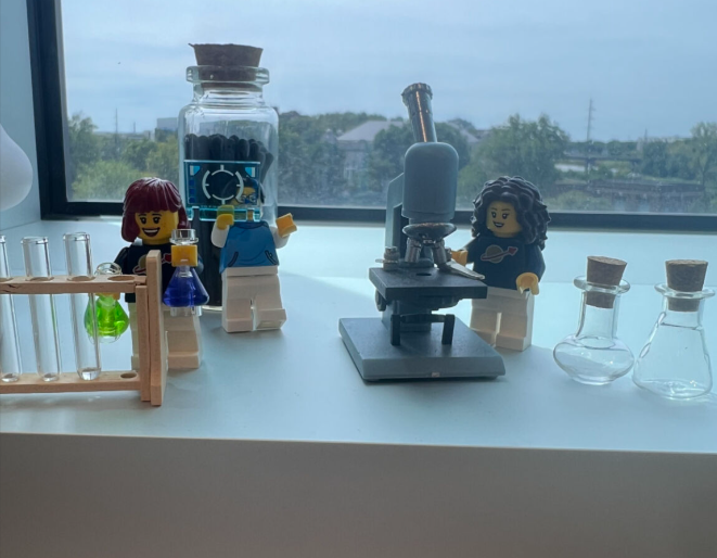 LEGO-style Piganelli Lab image
