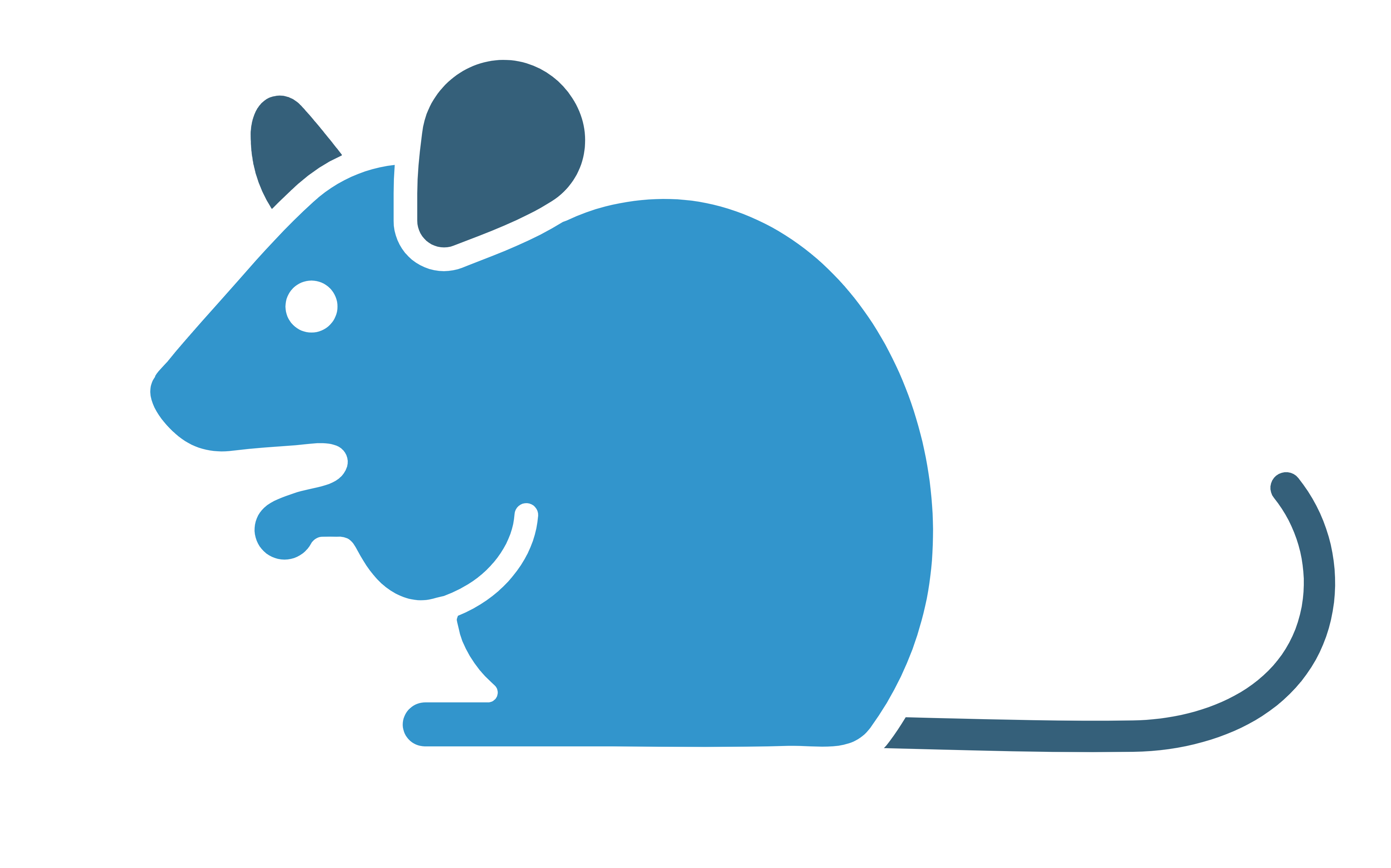 Simplified mouse model icon