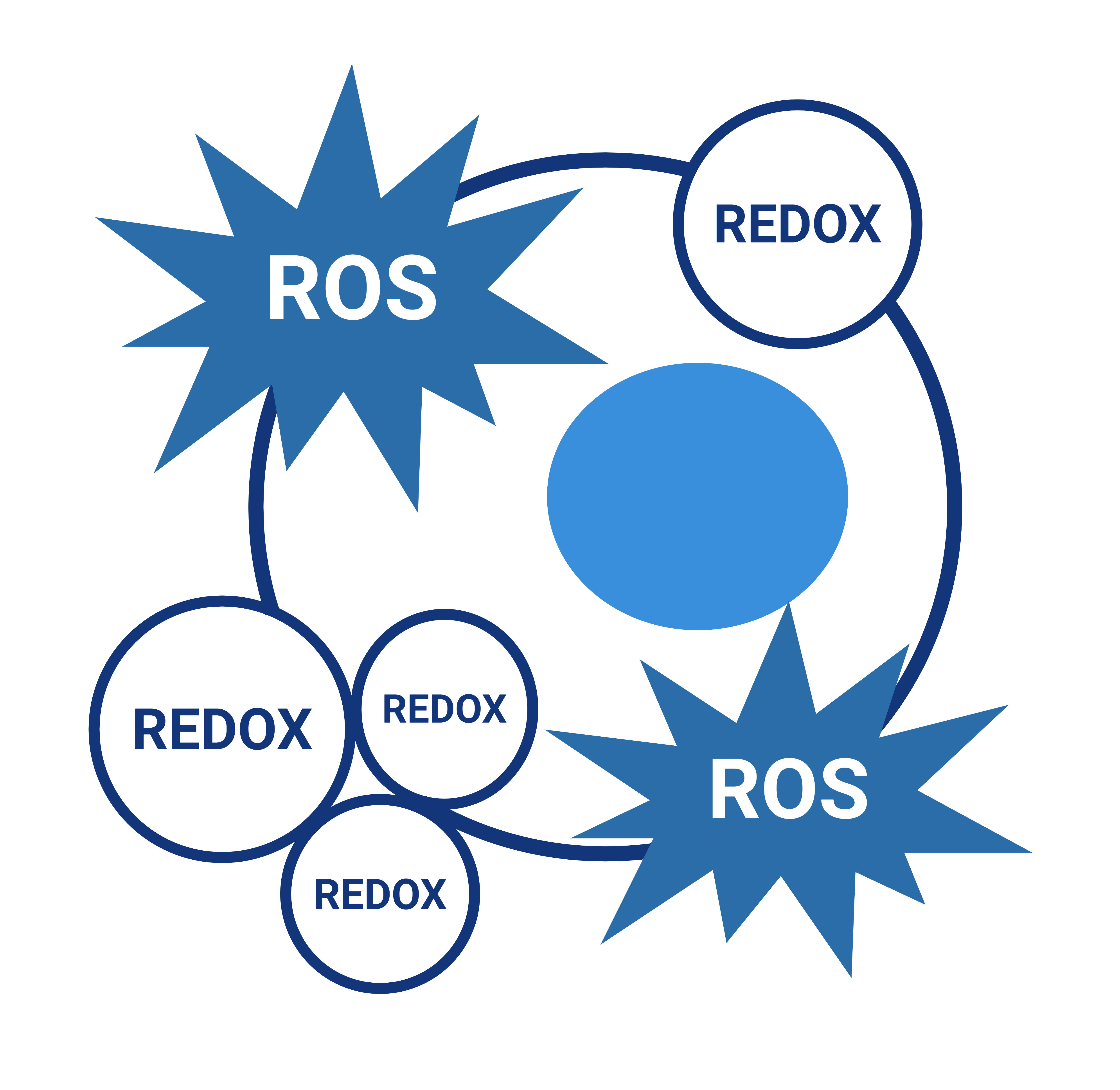 Simplified redox biology icon